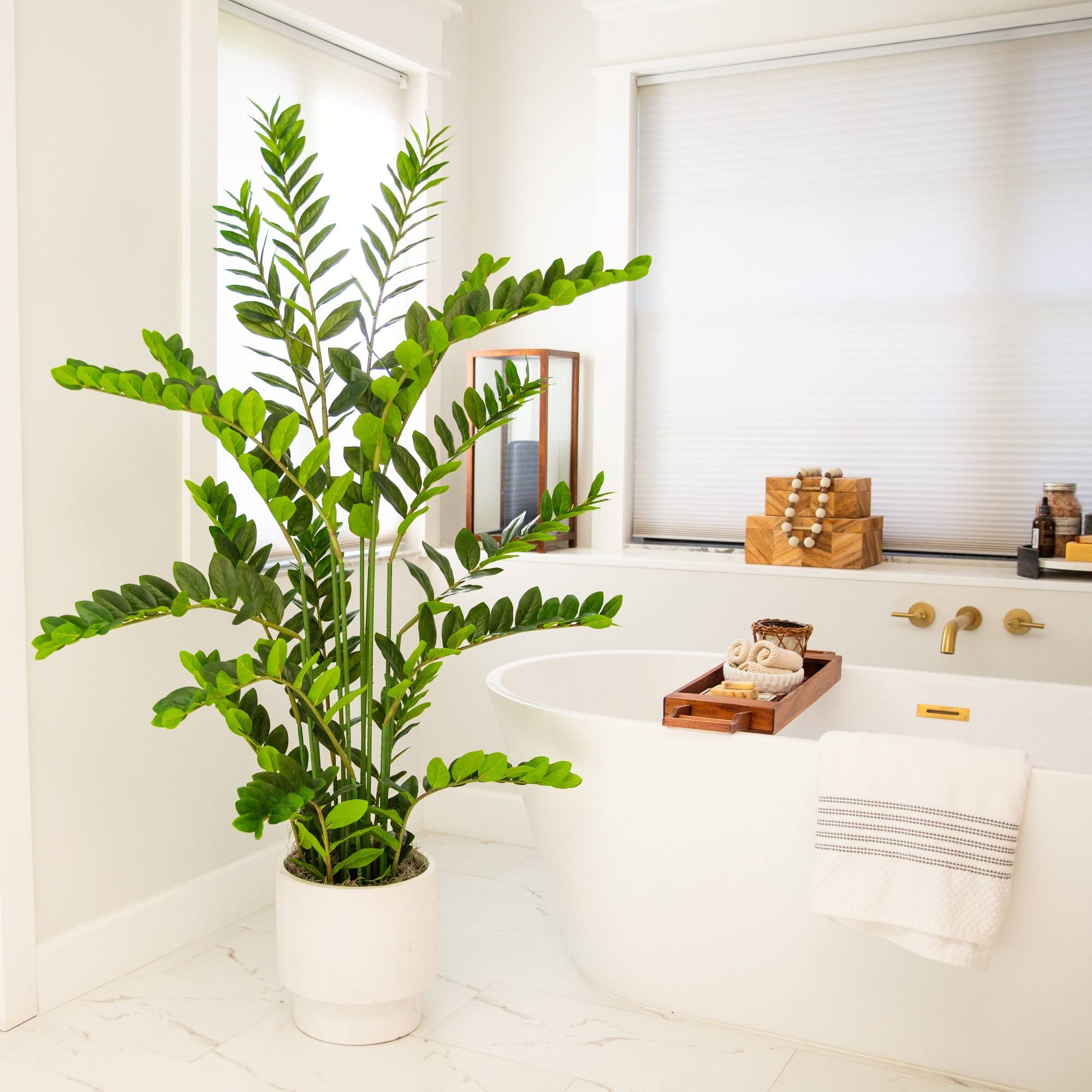 5ft. Artificial Zamioculcas Plant